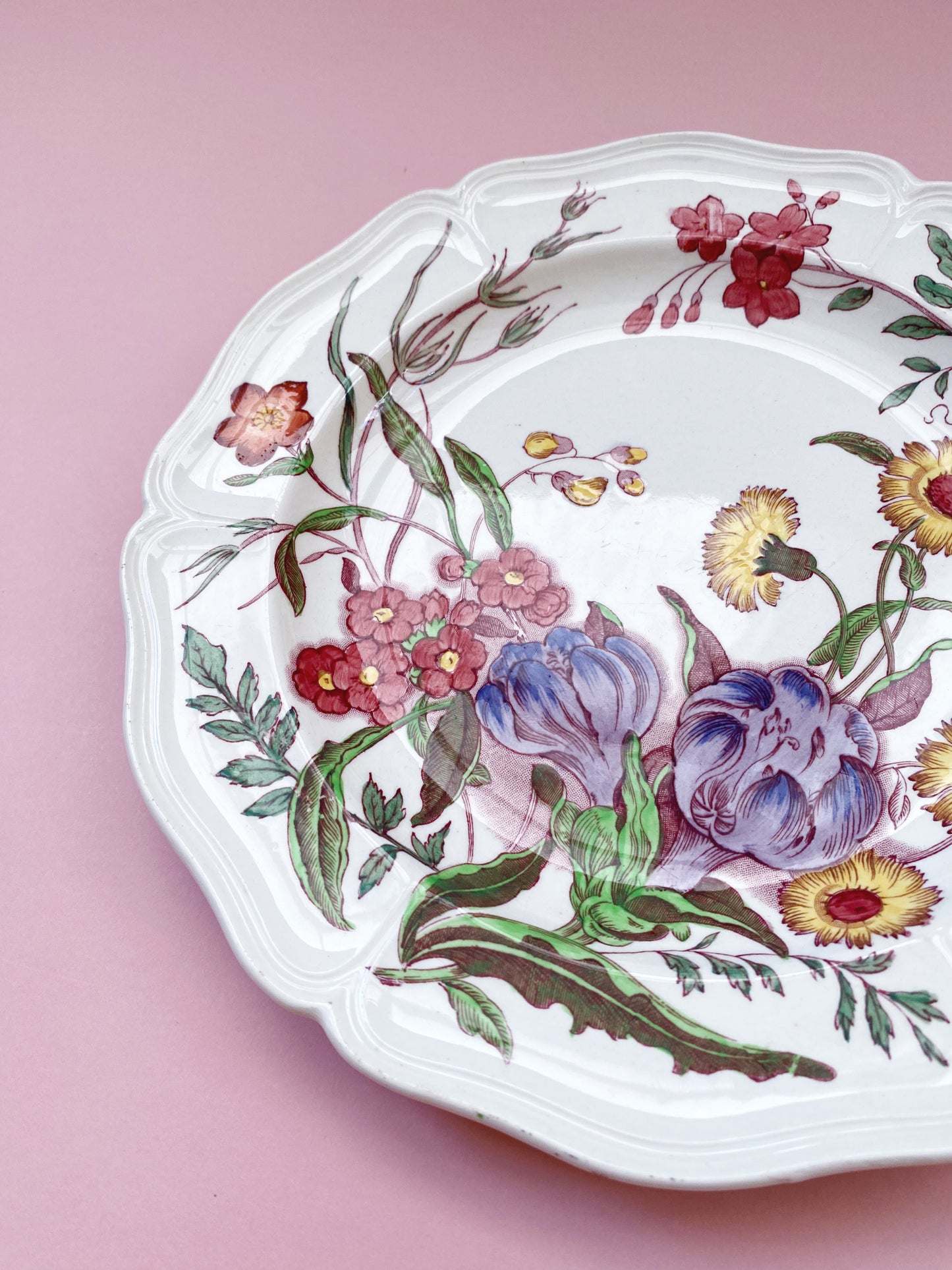 Wedgwood Floral ‘Etruria’ Plate