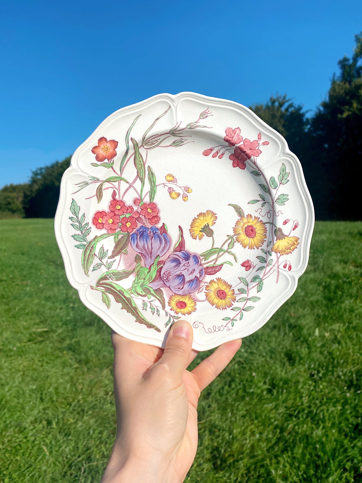 Wedgwood Floral ‘Etruria’ Plate