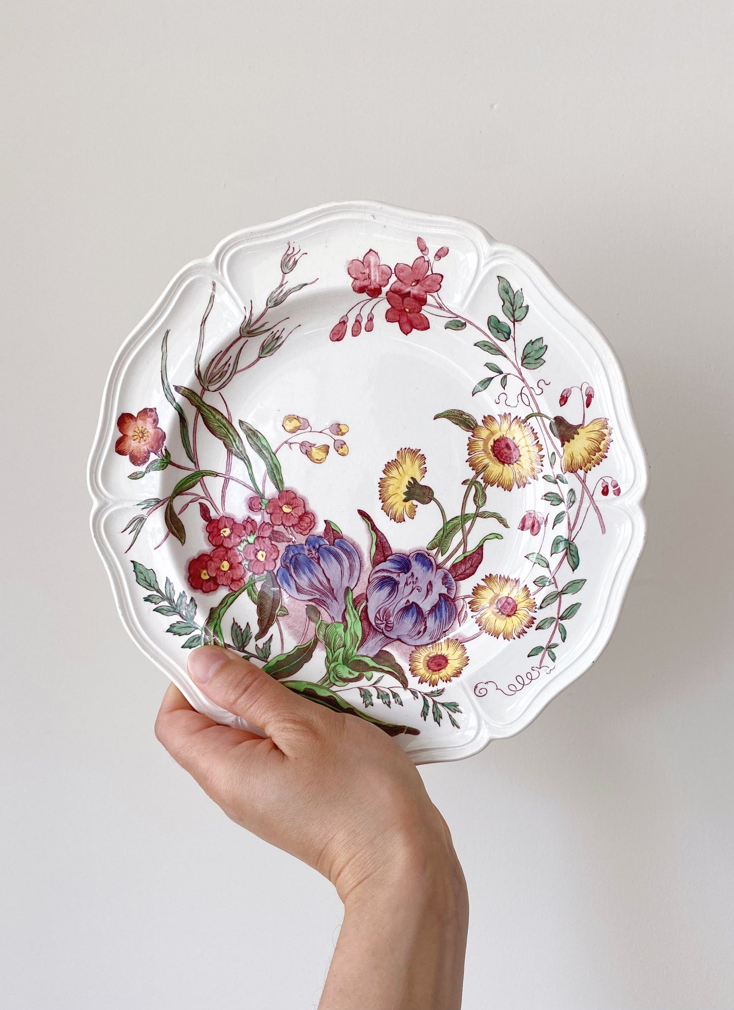 Wedgwood Floral ‘Etruria’ Plate