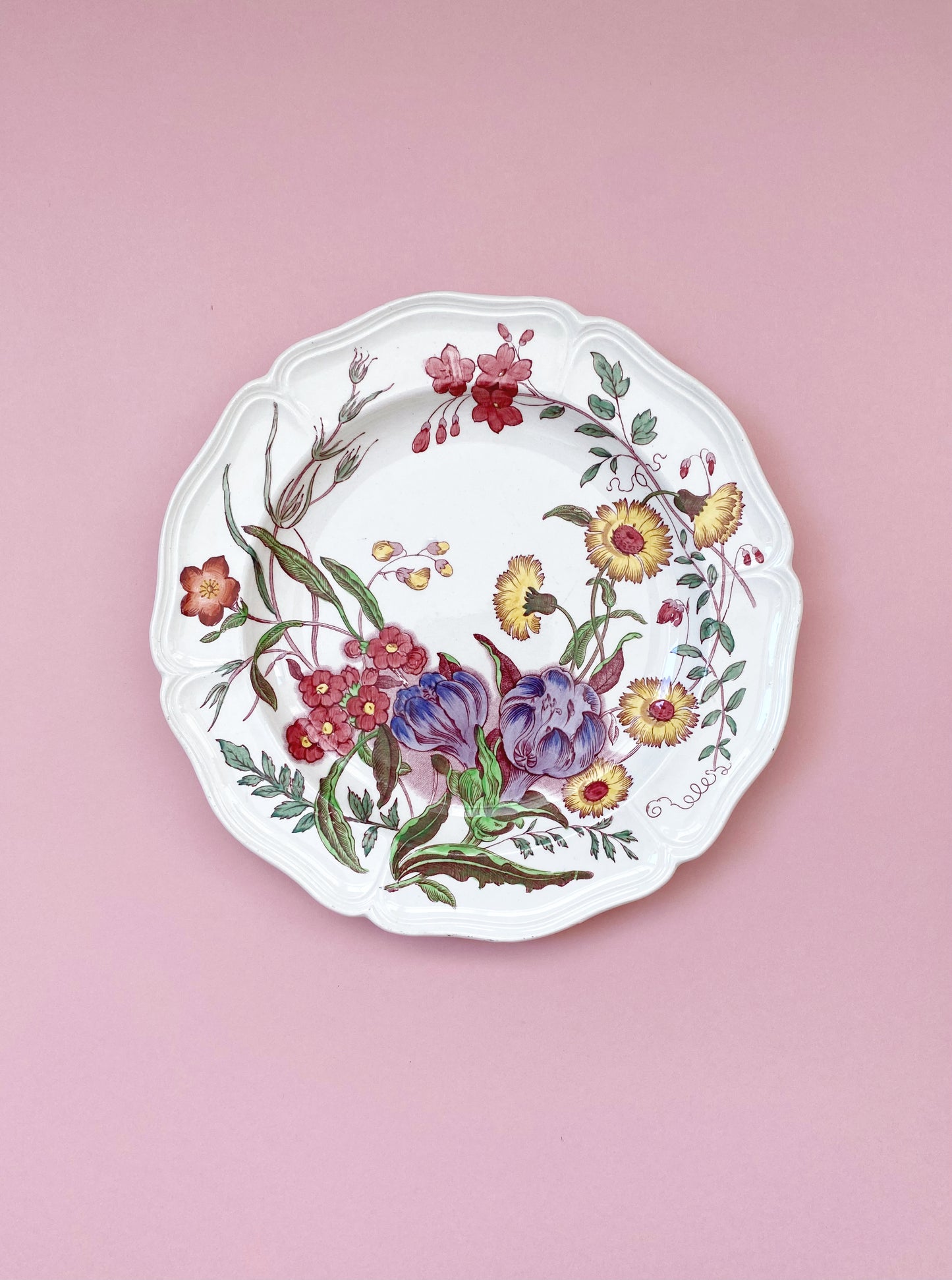 Wedgwood Floral ‘Etruria’ Plate