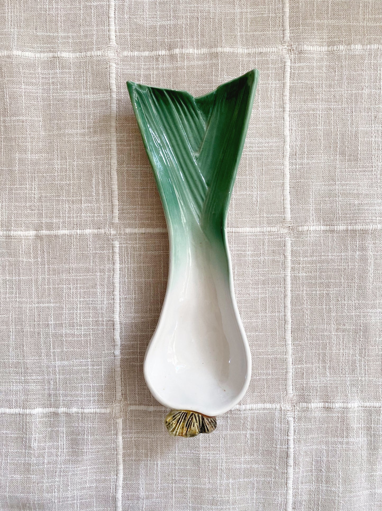 Leek/ Spring Onion | Italian Dish